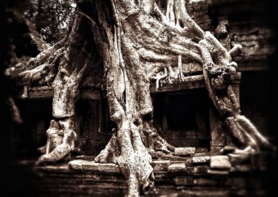 Angkor, Preah Khan temple