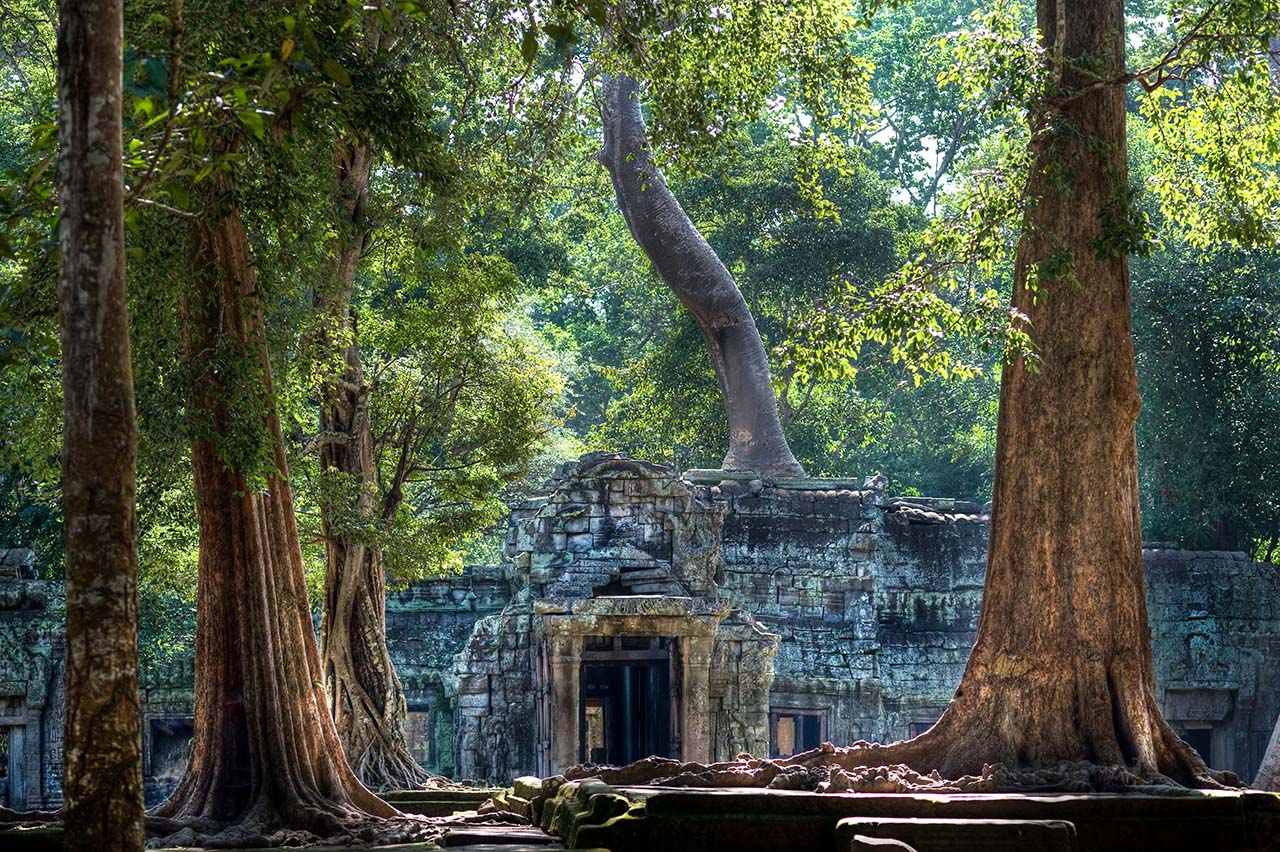Photo tour in Cambogia