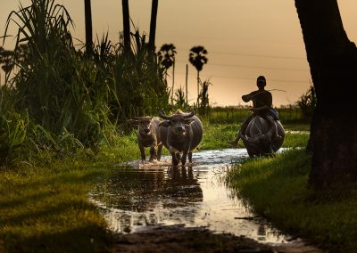 Viaggio fotografico in Cambogia