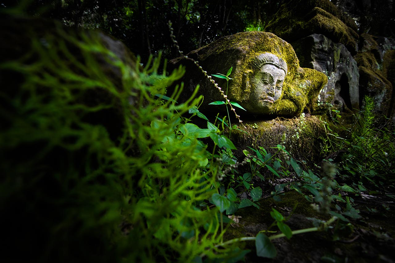 Hidden Angkor, Cambodia