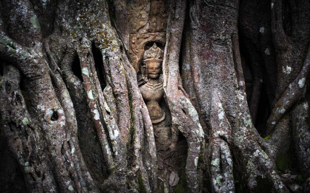 I segreti di Angkor